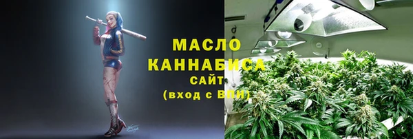 индика Нефтегорск