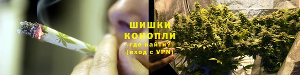 индика Нефтегорск