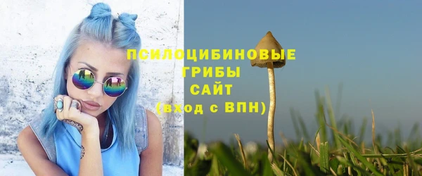 гидра Нефтекумск