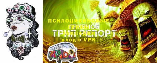 индика Нефтегорск