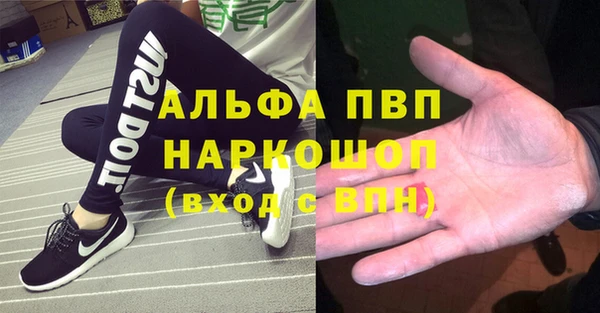 индика Нефтегорск